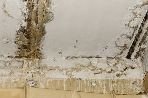 Professional Water damage restoration in Brandenburg, KY